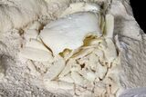 Fossil Crab (Potamon) Preserved in Travertine - Turkey #121382-3